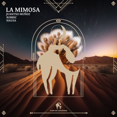 Juantxo Munoz, Robric, Hausa - La Mimosa [Cafe De Anatolia LAB]