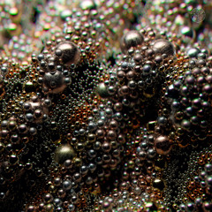 PREMIERE: Shakti - Ekpyrosis [Granular Spectrum]