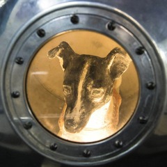 Soundtrack for "Laika's Window"