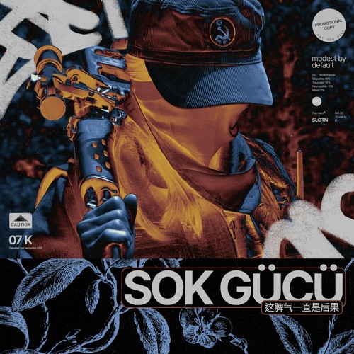 modest by default - SOK GÜCÜ (这脾气一直是后果) // SHOCK POWER (this temper has always been a consequence)