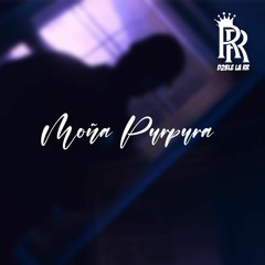 Moña Purpura 🍇