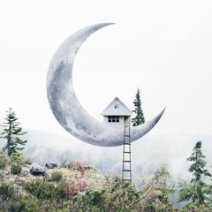 موسيقي فيلم الراقصــة والسياسي