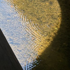 Sun creeps