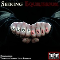 Seeking Equilibrium