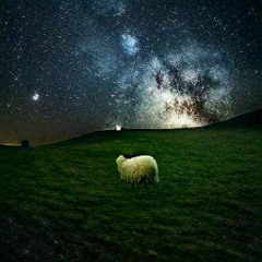 Stargazing Sheep [Disquiet0562] [Weekly Beats 40]
