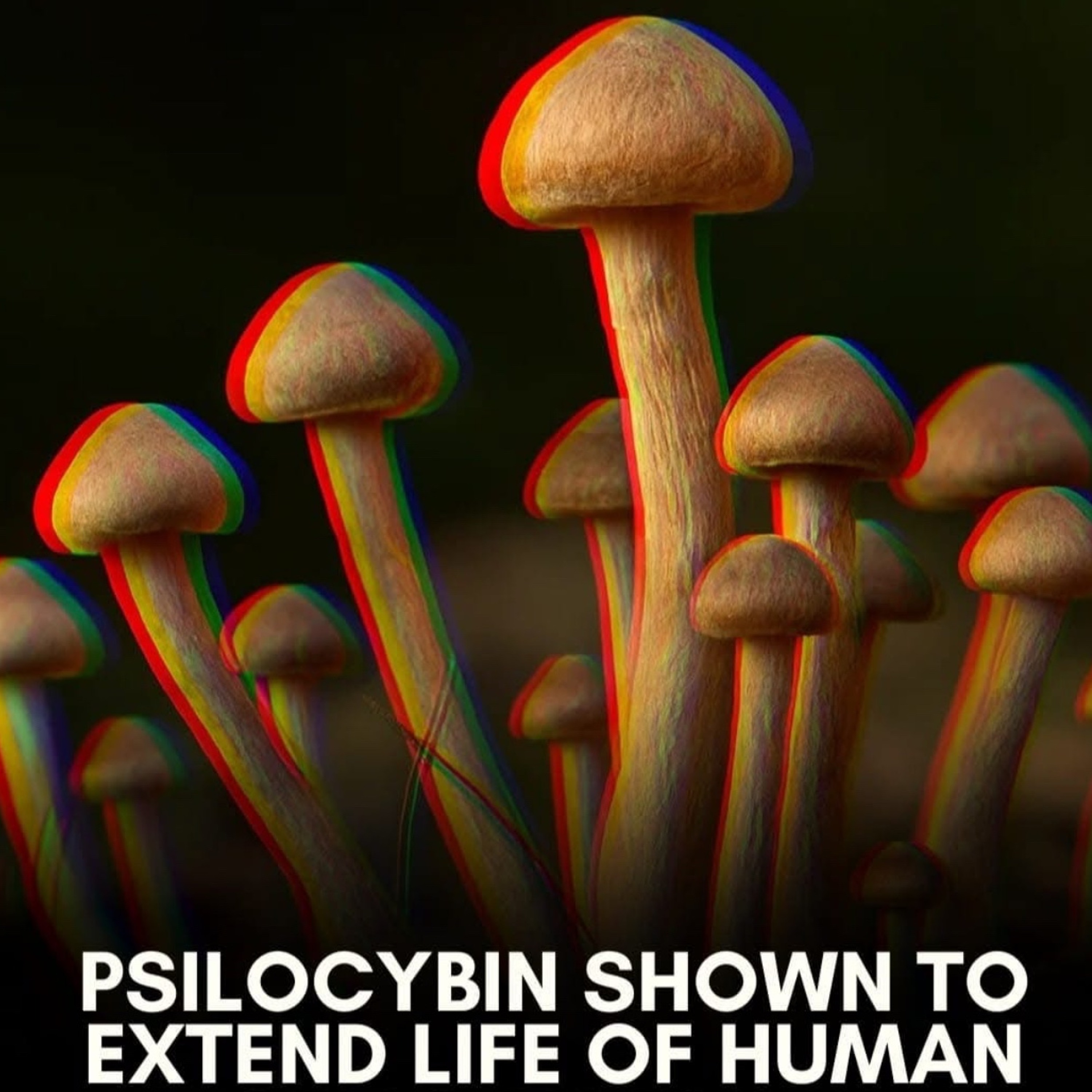 Addicted to you  _ 4 Dex Mx