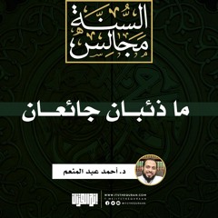 ما ذئبان جائعان | خطبة | د. أحمد عبد المنعم