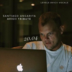 Levels Avicii Vocals (Santiago Angarita / Avicii Tribute)