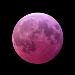 Pink Moon 1.11.11 444 am 2025-04-12 (Baby Carola MMW Mix)