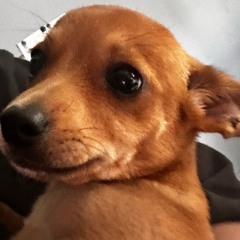 Copy of brodiebased's Picks