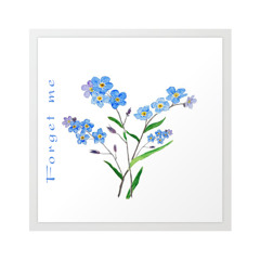 Forget me