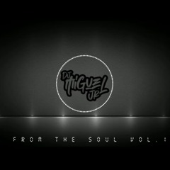 FROM THE SOUL [AFRO HOUSE] Vol. 1 Deejay Miguel Jr (2020)