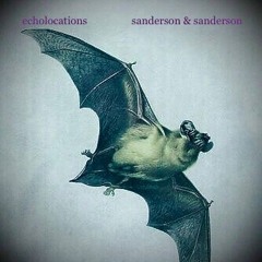 echolocation
