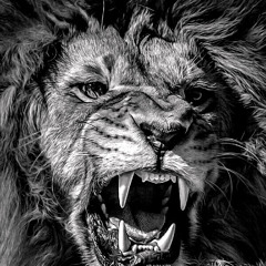 ‎⁨طب فكك مني مش لاقي خمره⁩.m4a