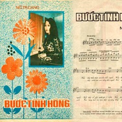 Bước tình hồng - Nguyễn Trung Cang - Tui hát