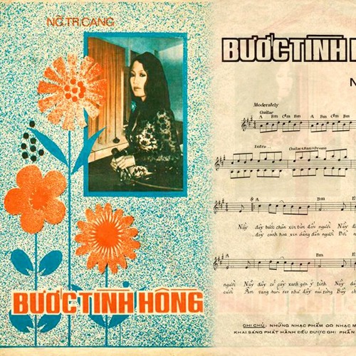 Bước tình hồng - Nguyễn Trung Cang - Tui hát