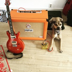 Little Orphan Funkhauser