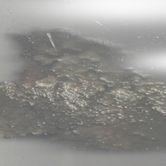 Ripening of Serenity - The shape of every memory is changing