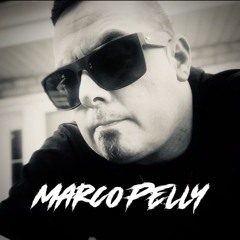 Shyness (Marco Pelly)