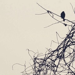 Tangled emotions