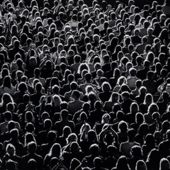 MD HYPNOTIC GROOVE 03