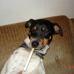 Himmelhunden Partymix