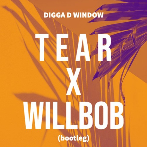 DIGGA D WINDOW (TEAR X WillBob BOOTLEG)