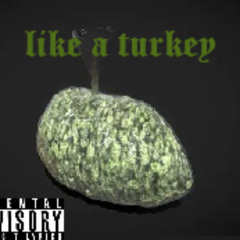 LIKE A TURKEY