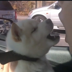 Only4nato - too much skull feat lungskull prod lungskull