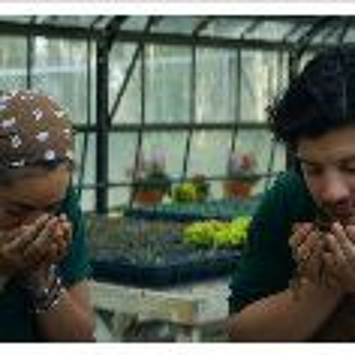 Stream Master Gardener (2023) Full Movie 4K Ultra HD™ & BluRay