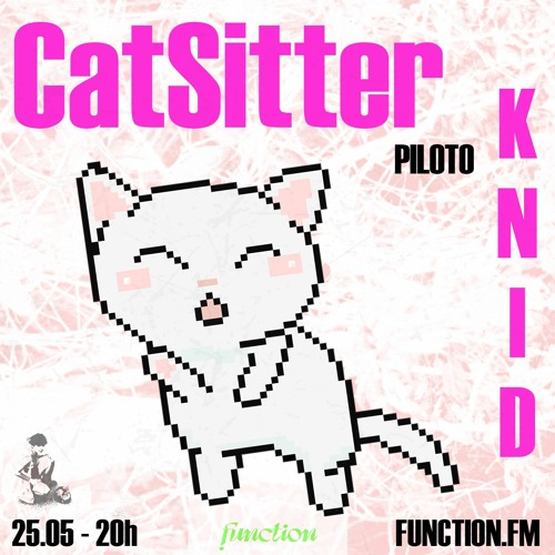 KNID | CatSitter EP01 @function.fm (25.05.2022)