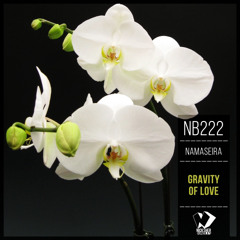 Namaseira - Invisible Love (Original Mix)
