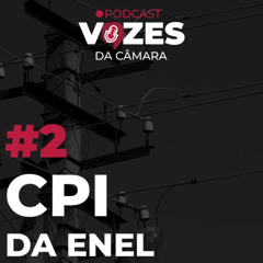 08.11.2024 = VOZES DA CÂMARA = CPI DA ENEL