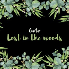 03MA Lost in the woods