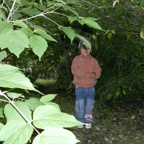 шмотки архив