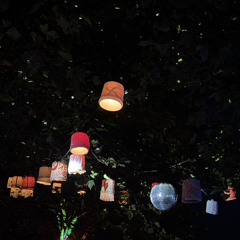 Hupke @ Nachteulen Festival 2025.wav