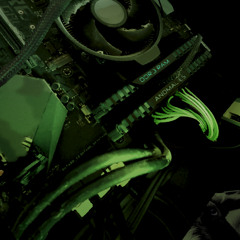 Violently with Violence