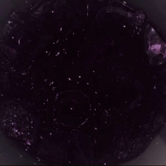 aw damn! (with xavidakidd)