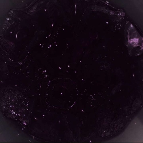 aw damn! (with xavidakidd)