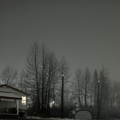 Forever in My Dreams