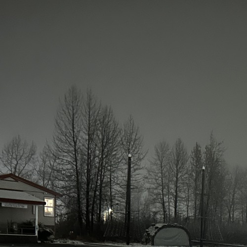 Forever in My Dreams