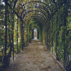 Orpheus Garden II (2020)