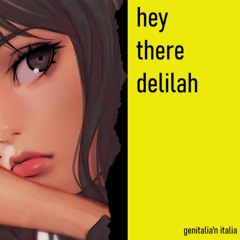 HEY THERE DELILAH (COVER)