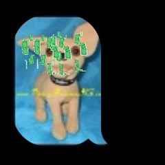 my clever dog sings to you