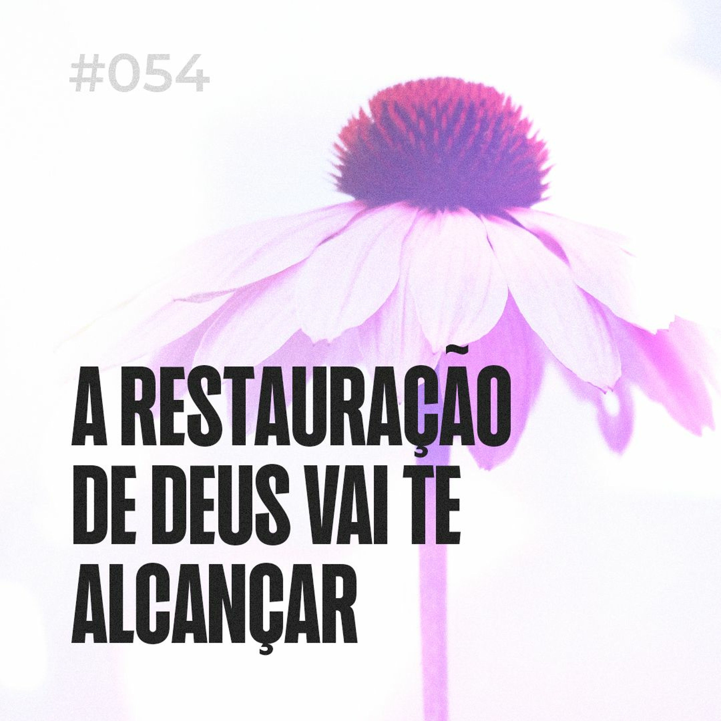 Dirce Carvalho