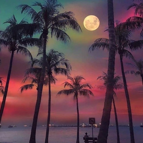 Akram_feat._DJ_Maniak-Amor_(Original_Mix)-spaces.im