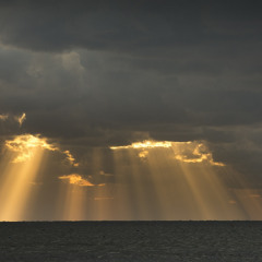 4core - Light