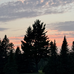 Midwest Meadows prod. (everestdidthis)