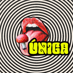 Meeshy - Unica E1 11.04.25
