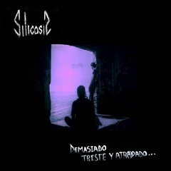 Silicosis - Silicosis
